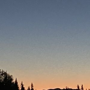 Meet your Posher, Jo-anne